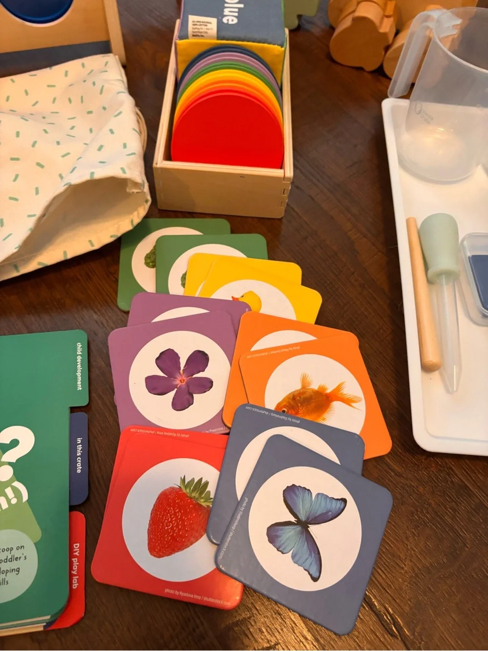 Kiwico Lets Experiment upgraded playkit 25-30 months